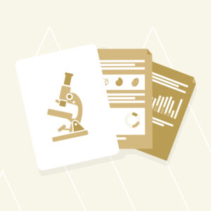 mortelonderzoek-analyse-rapport