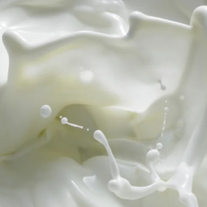 Kalkmelk De Mortel Compagnie