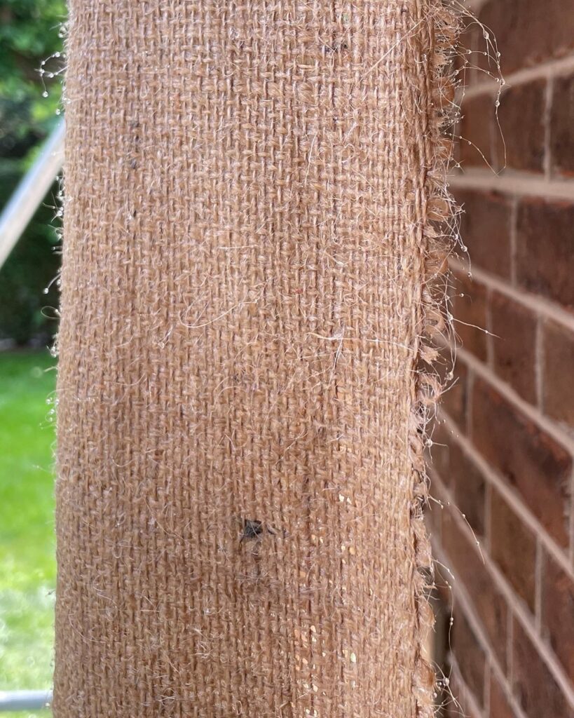Voegen-beschermen-met-jute